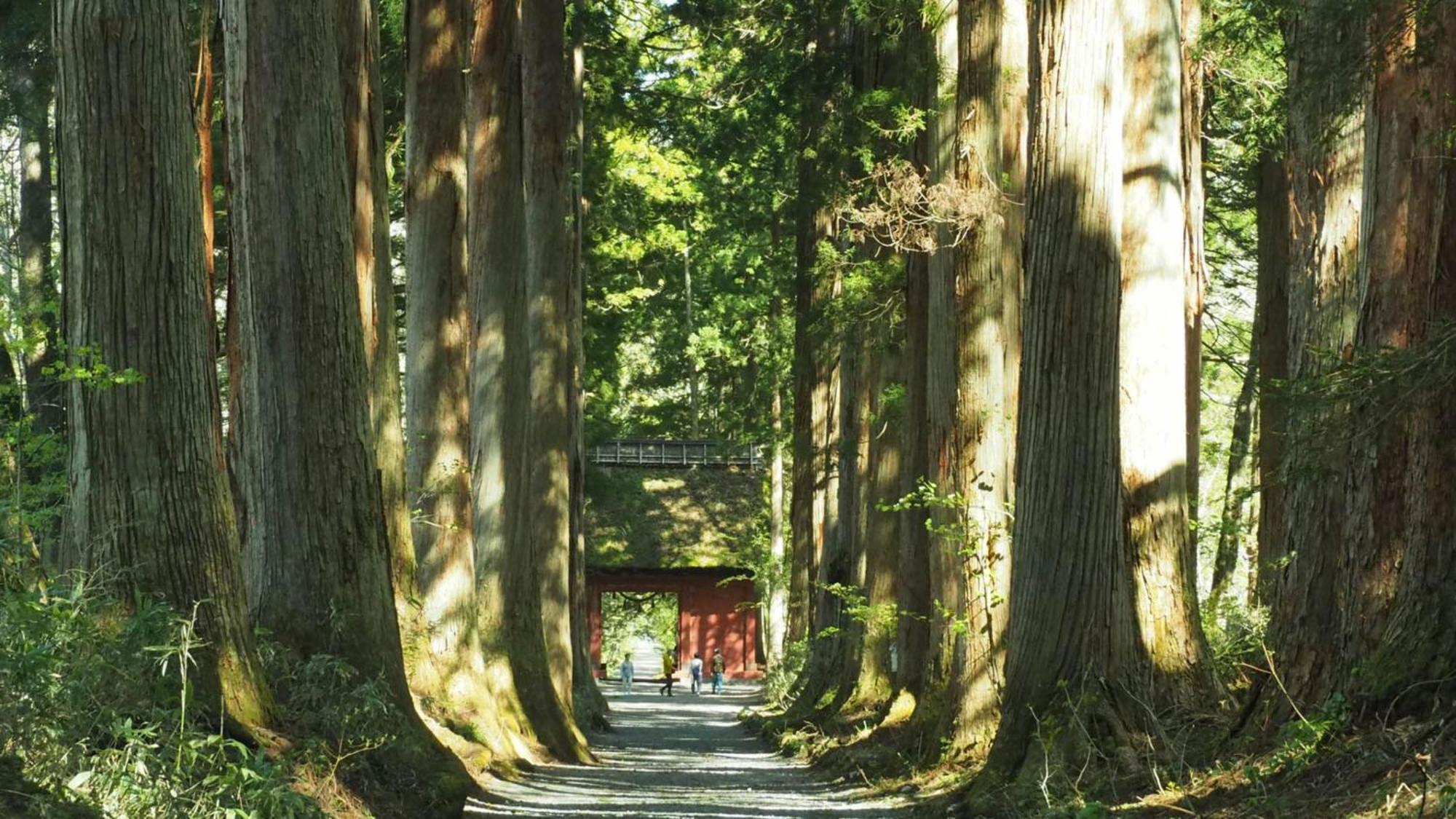 Toyoko Inn Nagano-Eki Higashi-Guchi Zewnętrze zdjęcie